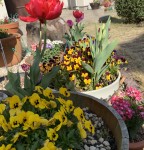 C8719262-FFDE-4B13-A2BD-903667937CD7