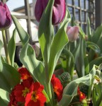 CCAF96CB-B5A0-4218-8727-4F3714945B99