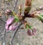 E52B048B-0E17-47A7-B0BC-FE105DBD44B5