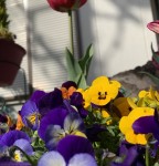 E8474350-54C1-4626-8365-7559B9FA8E7D