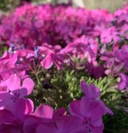 F67A49BF-9A38-4E30-A77E-6164EEA02849