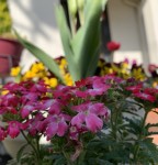 F8F4FB86-A545-4005-A534-946B2A6D3557