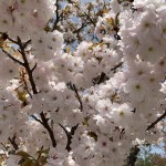 FA084613-936C-4968-A4C4-1250F94455FD