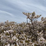 FB5A57A4-C500-4692-95F4-0C762C957F13