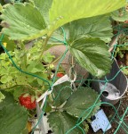 1BFE1F1E-C4BA-4E16-92F8-2A1F9FAC3072