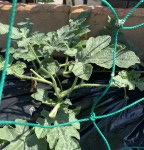 60655315-9ECD-441E-A7F6-4126E66F9207