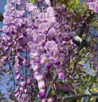 8A0BFA2F-7FA3-4737-A503-D0BB5CAB991E