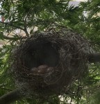 2BBB9DED-CDD4-4861-936E-9D890F1150BF