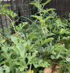 84D8D396-7B73-4CD6-8A48-3BDD200660C9