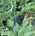 85F48702-220B-40E3-8C1F-6C811AB5BF60