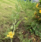 936F2311-5995-4929-A262-BFBDE1163AA5