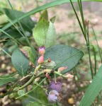 98AF9DDF-93E8-4C03-ACA2-F4C01A24B582