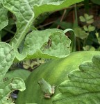 A47D5D3F-8ACF-4534-8749-C3CD67239261