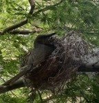 CCA1C2F1-76AC-47CF-88BE-265C1D22CFAA