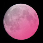 ECB0278B-CDC6-4873-AC64-A2C414CD7DE3