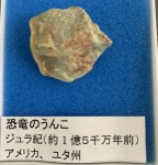 49256D2E-3360-4BFD-B266-62945CCFCDE5