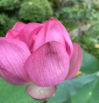 7128C4AE-79E7-4DB4-B845-054CBCFE7C66