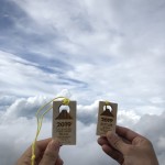 658EC53C-3D8A-4911-9D9C-6272072875B1